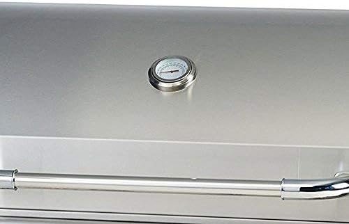 Bull Outlaw 30 inch 4 Burner Built in Natural Gas Grill